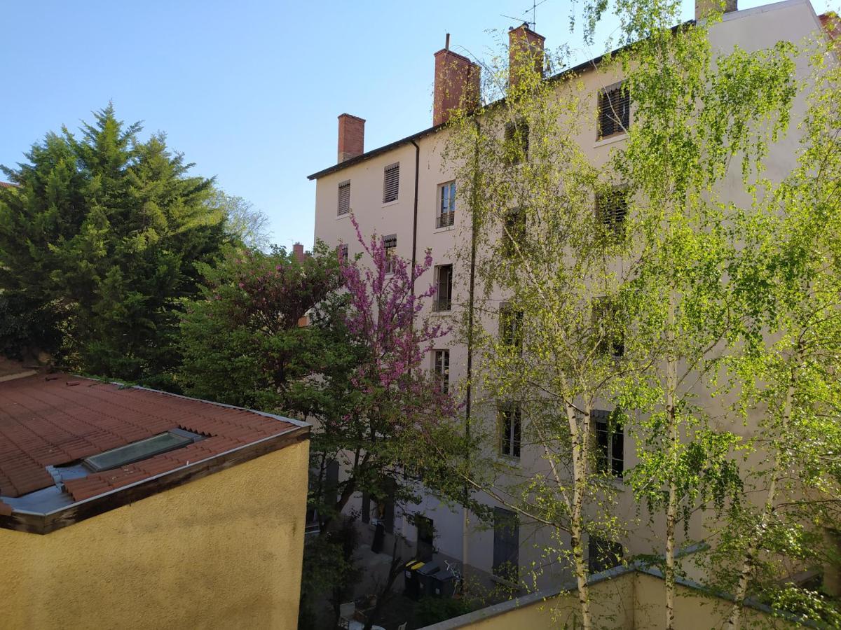 Berge Du Rhone, Centre Lyon, Espace De Travail, Tout A Pied, Universite Lyon 2 Et Lyon 3, Ideal Voyage D'Affaires, Tourisme, Loisirs ภายนอก รูปภาพ