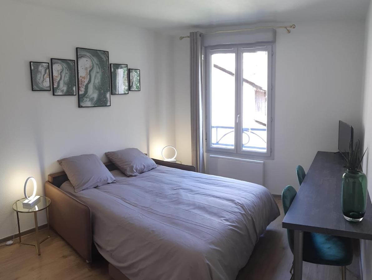 Berge Du Rhone, Centre Lyon, Espace De Travail, Tout A Pied, Universite Lyon 2 Et Lyon 3, Ideal Voyage D'Affaires, Tourisme, Loisirs ภายนอก รูปภาพ